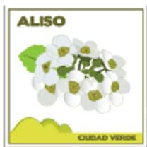 Conjunto residencial Aliso